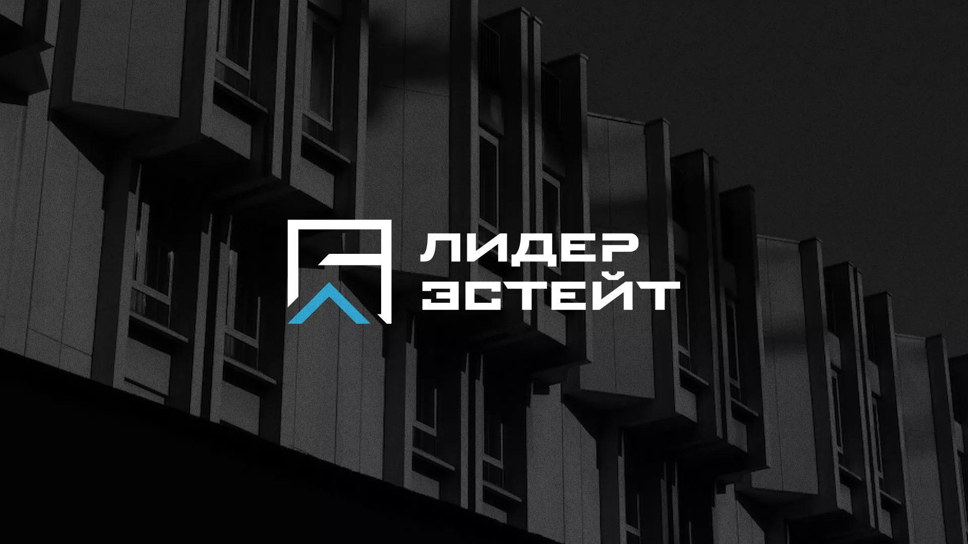 Разработка логотипа агентства недвижимости «Лидер Эстейт» в Переславле-Залесском