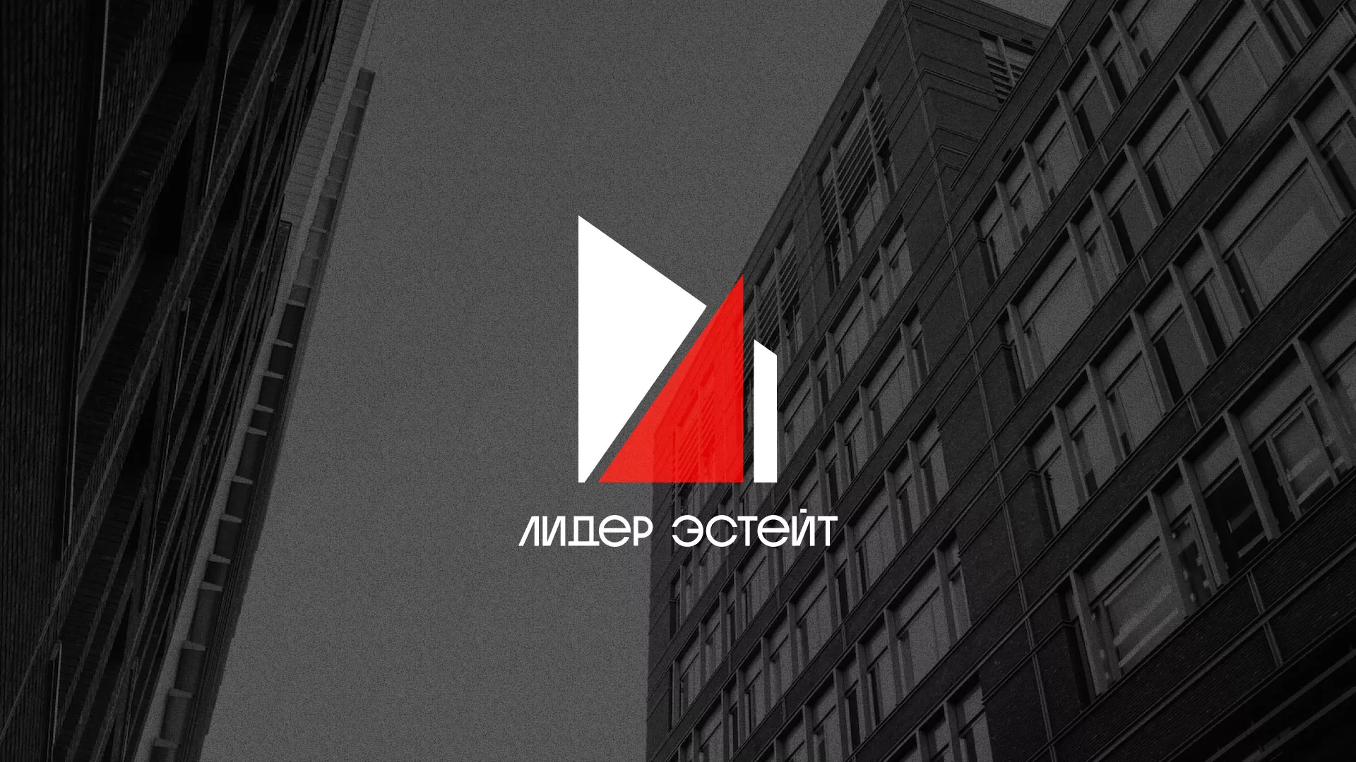 Сделали логотип для агентства недвижимости «Лидер Эстейт» в Переславле-Залесском